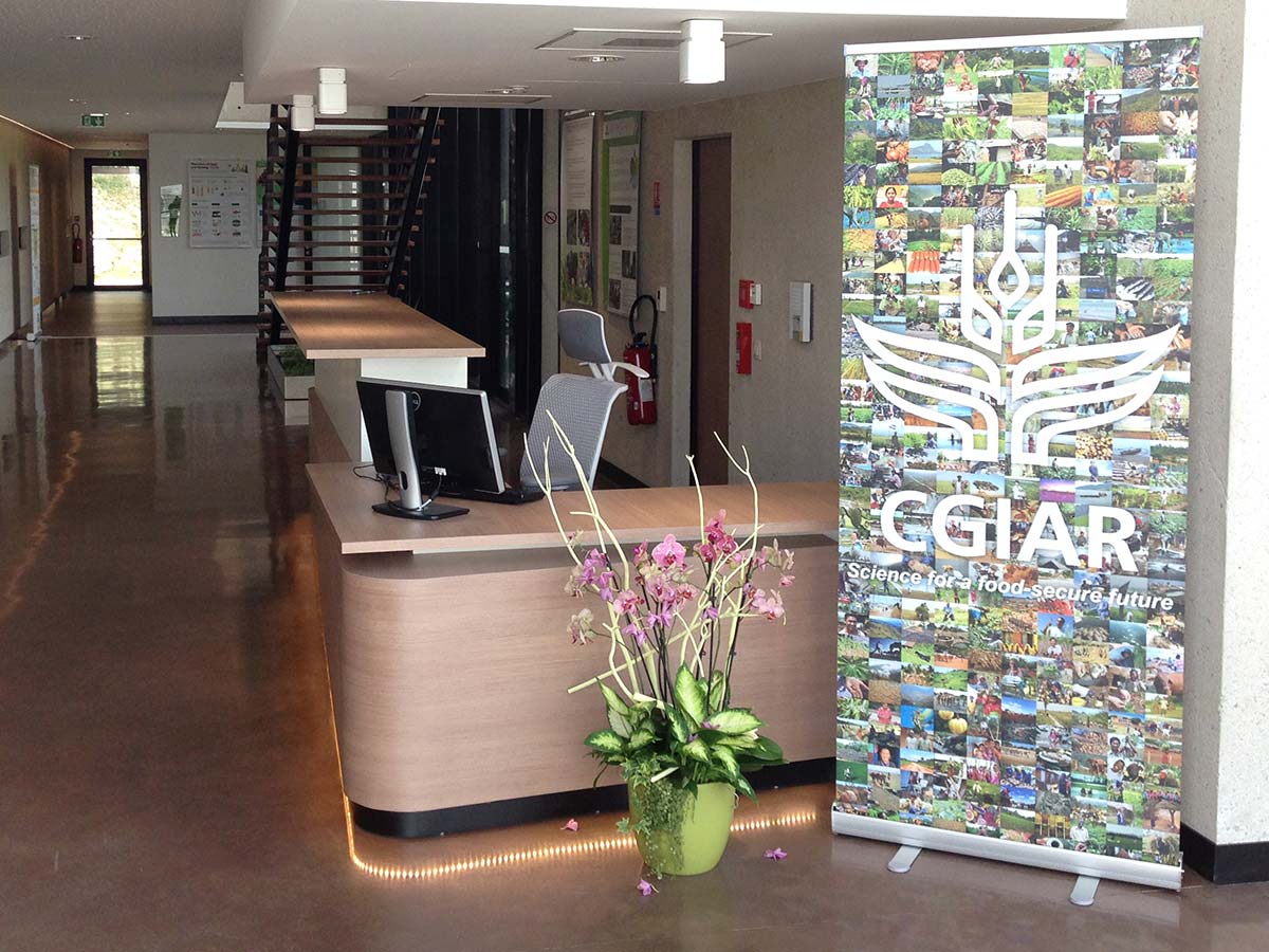 mosaic banner cgiar consortium office